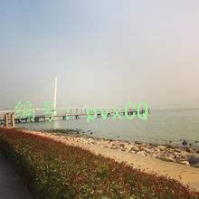 ûа취