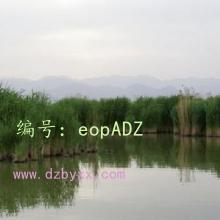 Ŀ
