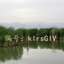 ͨ