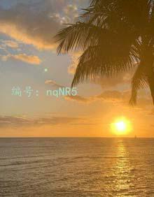ḻ