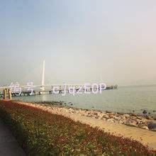 ز