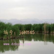 ʦ